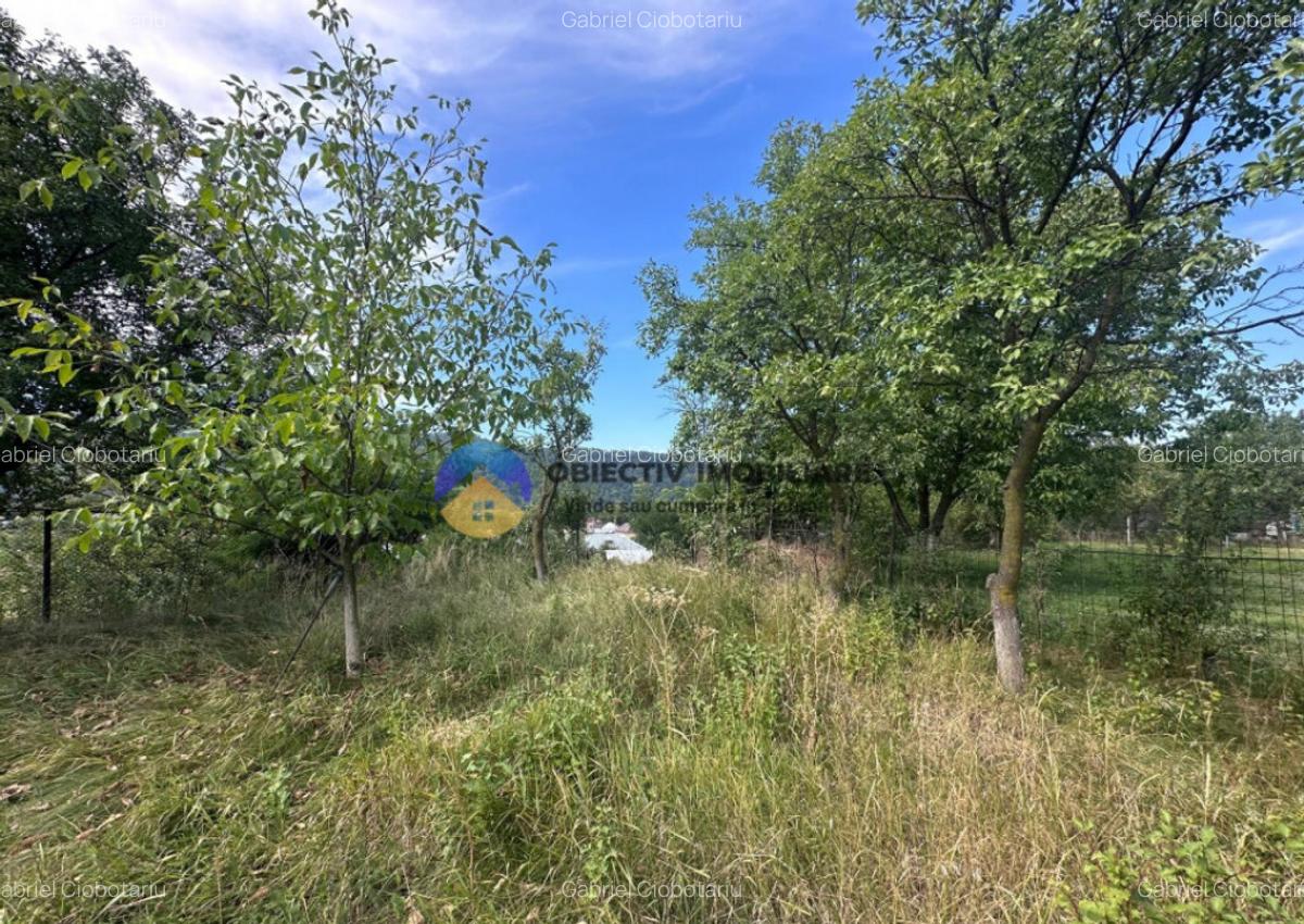 Teren + Casa de Vanzare 1170 mp Dumbrava Ro?ie, N - 11