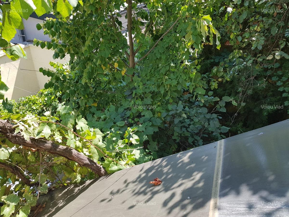 .DOMENII,2 CAMERE IN VILA,MOBILATE,TERASA,CURTE,CENTRLA PROPRIE.580 EURO - 15