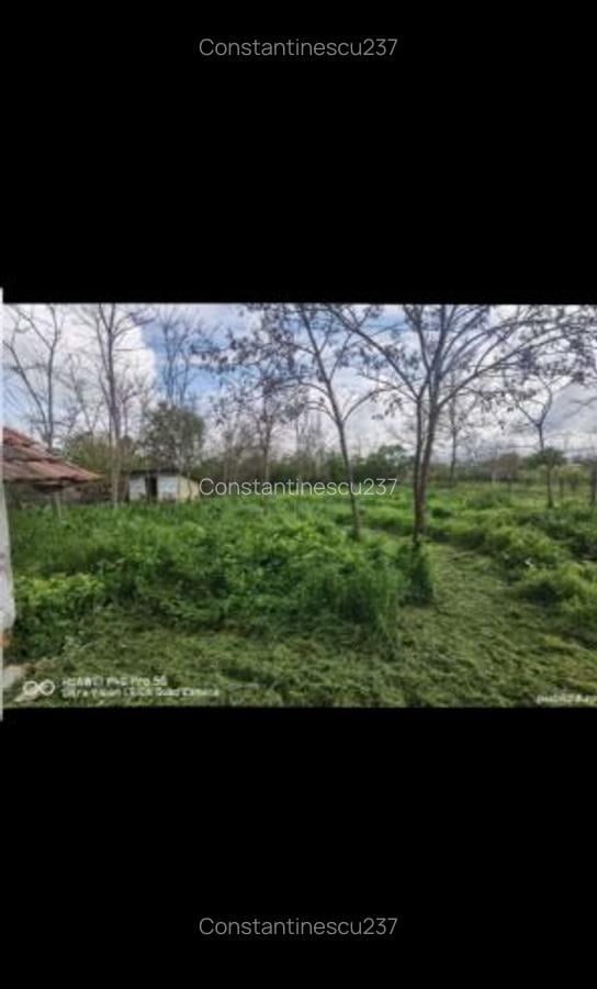 Casă de vânzare - 2