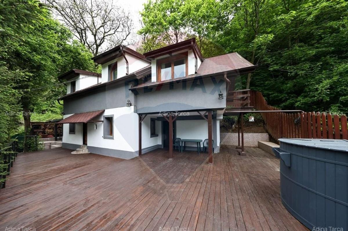 Casa in inima naturii - Brasov - 1