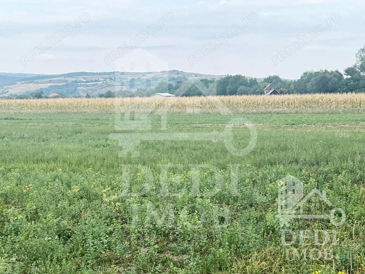 Teren extravilan Lugasu de jos, Bihor - 4