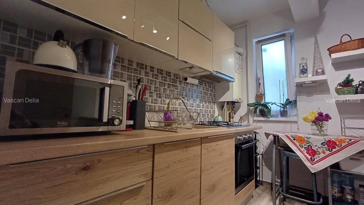 Apartment cu gradina - 14