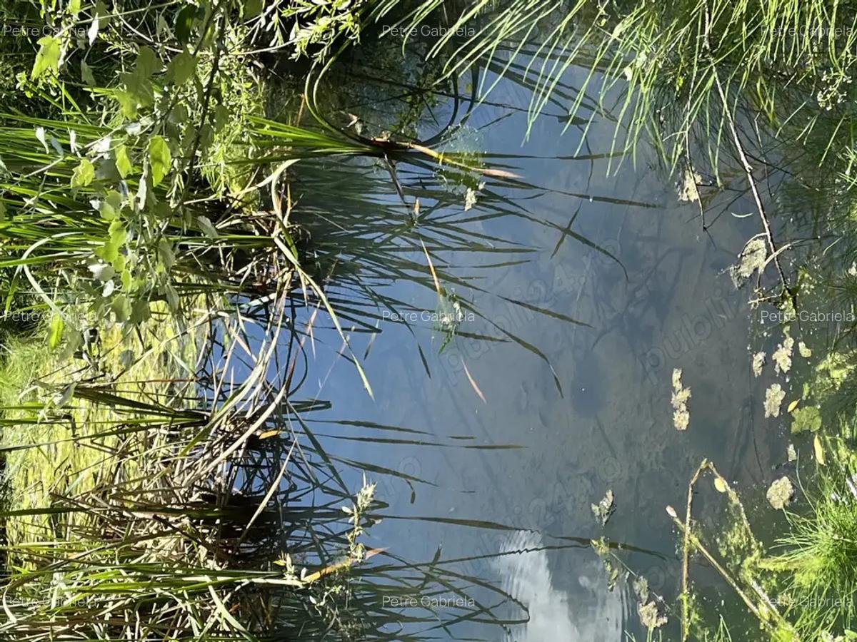 Casa situata intr-o zona superba - 2