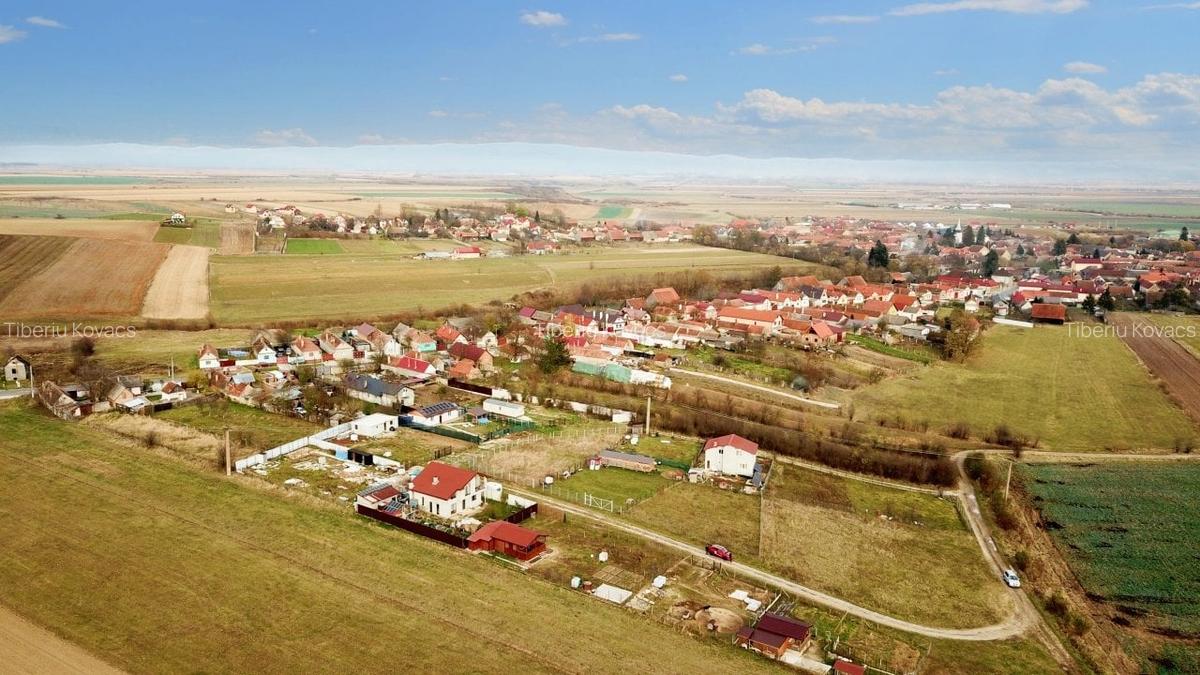 Parcele cu P.U.Z Halchiu - 7