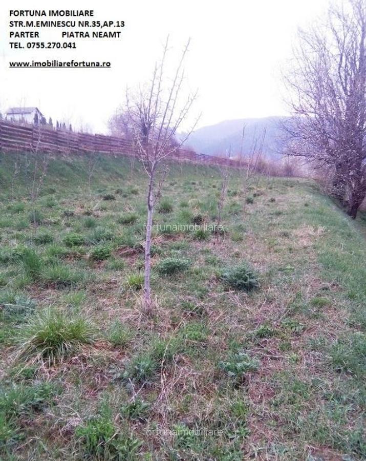Teren Alexandru cel Bun - 2