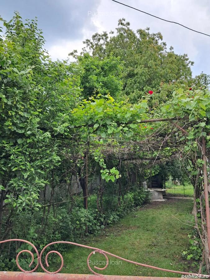 Casa si teren - 5