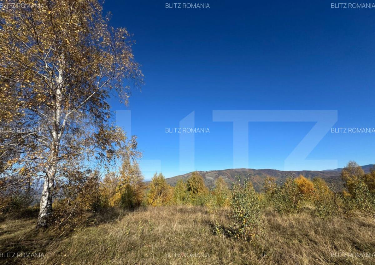Teren extravilan de 17.183 mp in Tarsa - 2