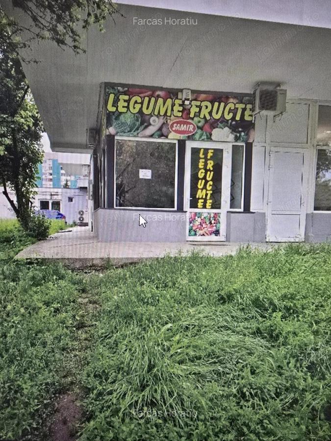 Spatiu comercial, spre inchiriere, in Aleea Carpati - 1