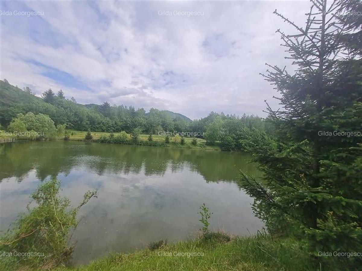 FILM! Oaza paradisiaca cu lac, vedere catre Bucegi, Glajerie/ Rasnov, pretabil C - 26
