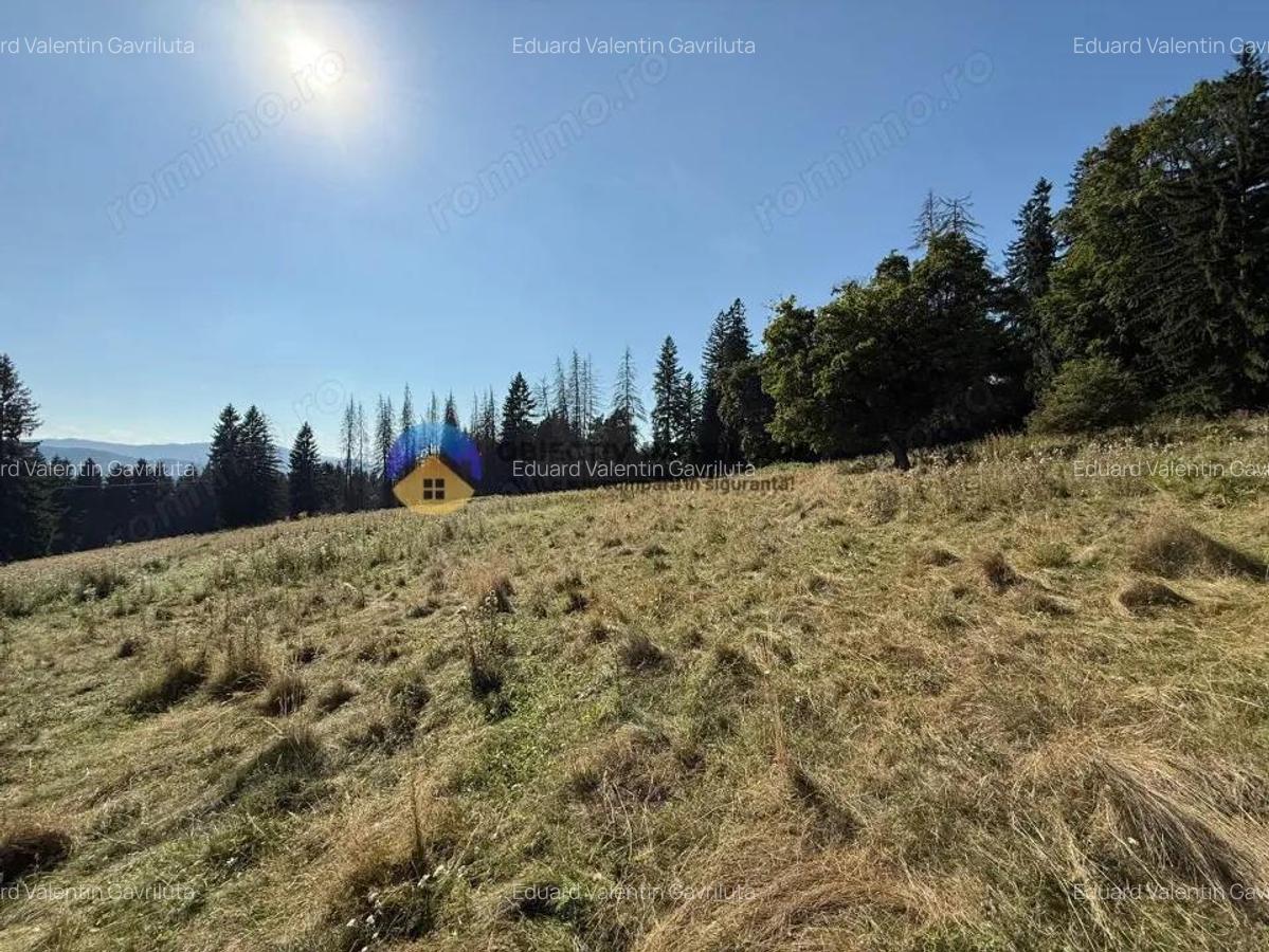 Teren de vanzare 5000 mp Piatra Neam? - 5