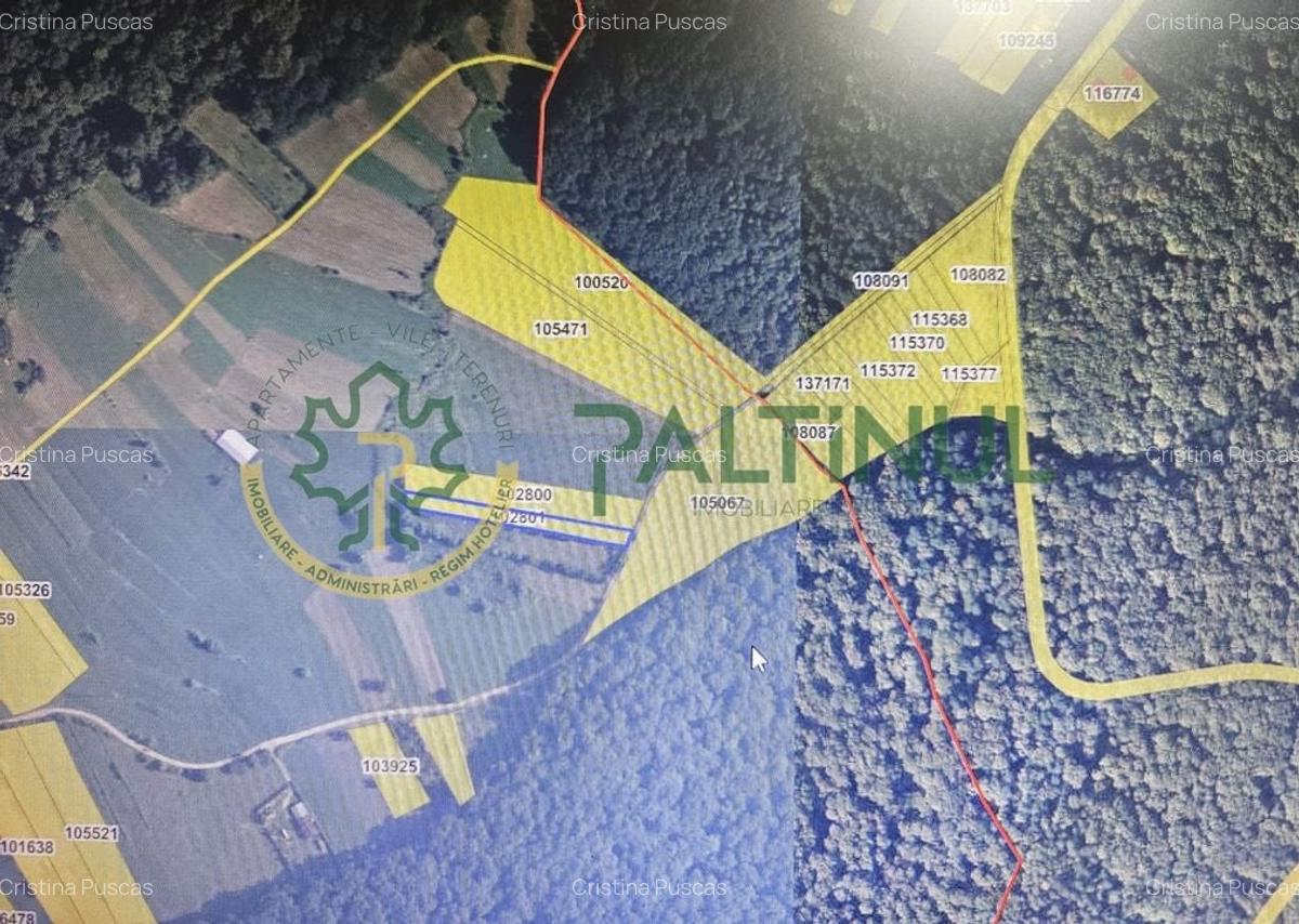 Teren extravilan 2.000 mp – Rășinari, Sibiu - 1