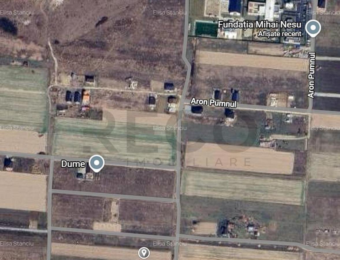 Reco. Teren intravilan, Cihei - 1