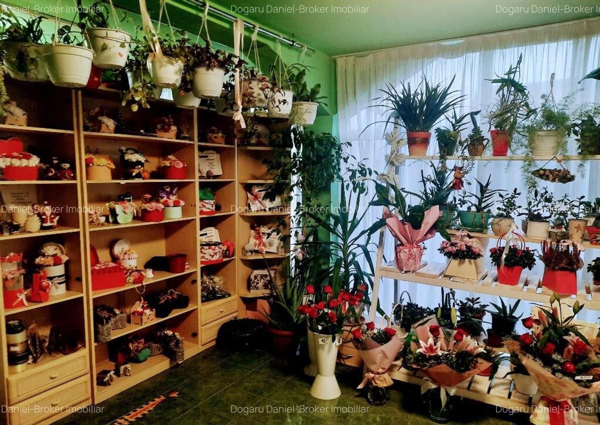 Casa de vanzare in Cristur Str. Uli?a Mare nr. 43 - 12