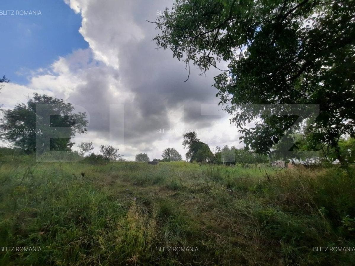 Anexa cu teren  5000mp, langa padure, Dobrovat - 3
