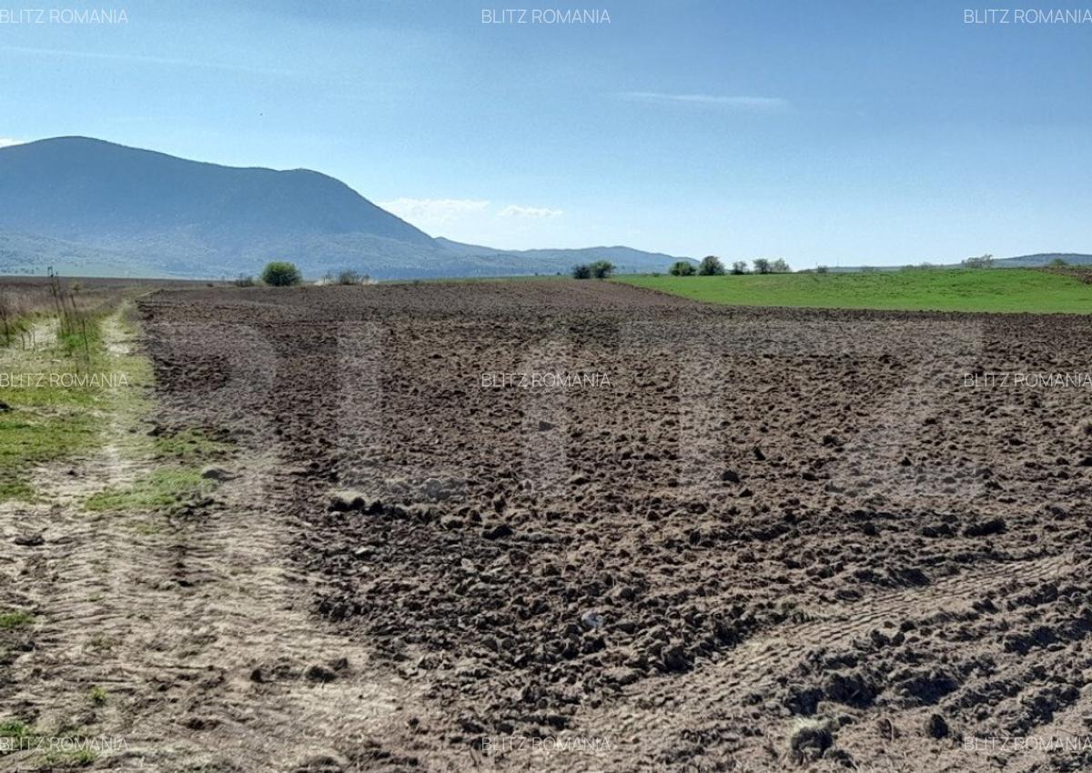 TEREN Extravilan 15000 MP in Zona Codlea - 4
