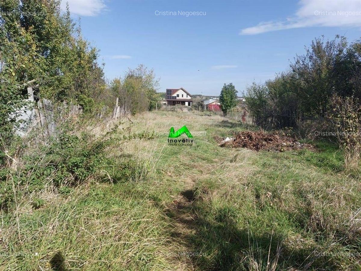 Casa de vanzare teren 1400mp Sibiu Cristian - 8