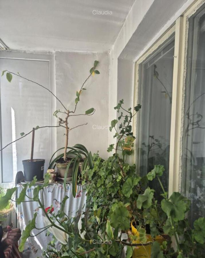 Apartament de 2 camere zona Astra - 2