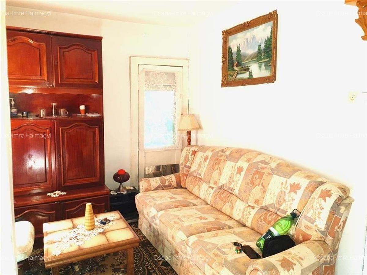Casă individuală cu 2 camere în Ginta - 19