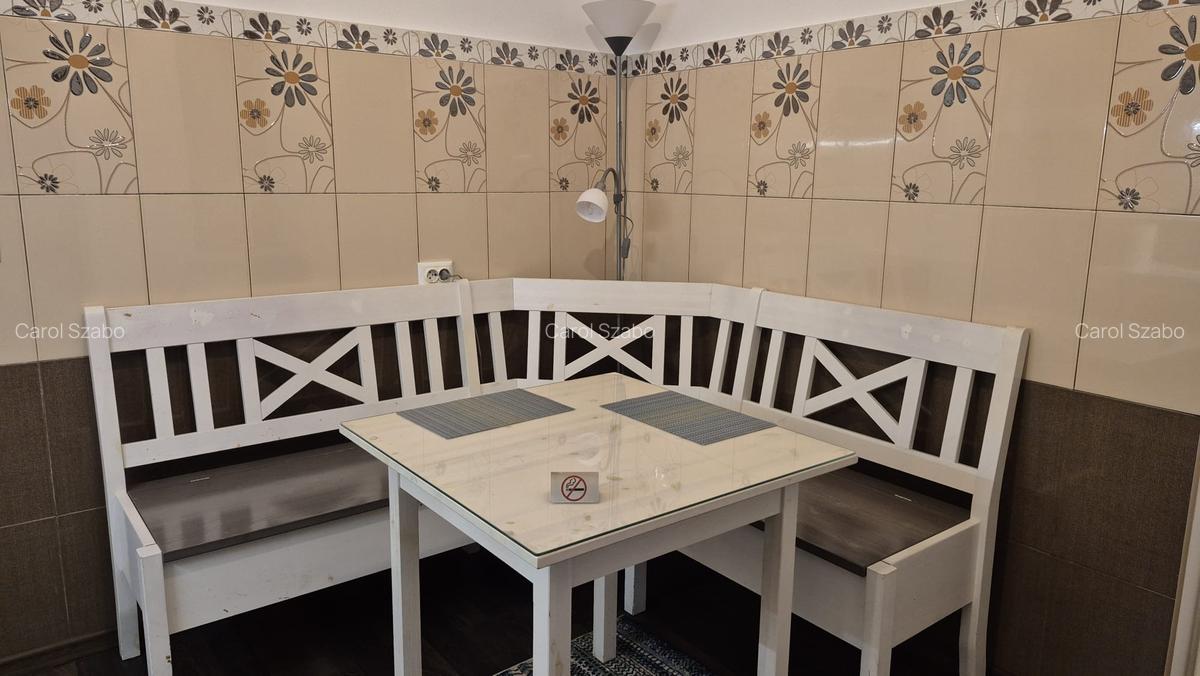 Garsoniera ultracentrala de închiriat - 5