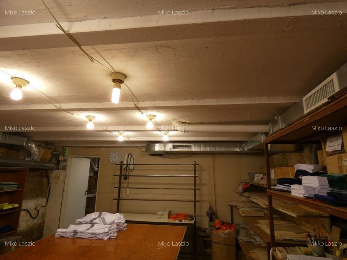 De inchiriat spatiu industrial in zona Garii - 9