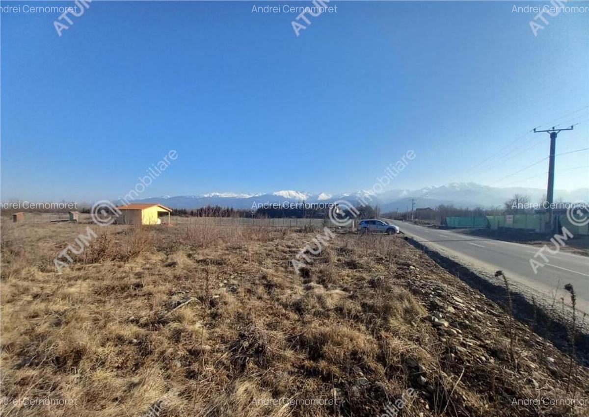 Teren intravilan 7900 mp de pe Valea Avrigului - 8