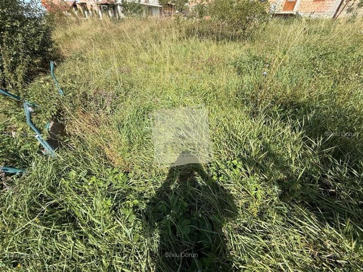 Casa individuala cu 2 camere si 495 mp teren in Sura Mare - 5