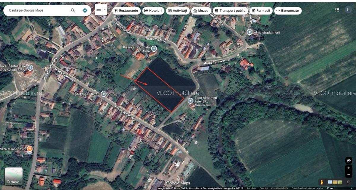 Teren intravilan de vanzare in Alma jud. Sibiu – 7.342 mp - 3