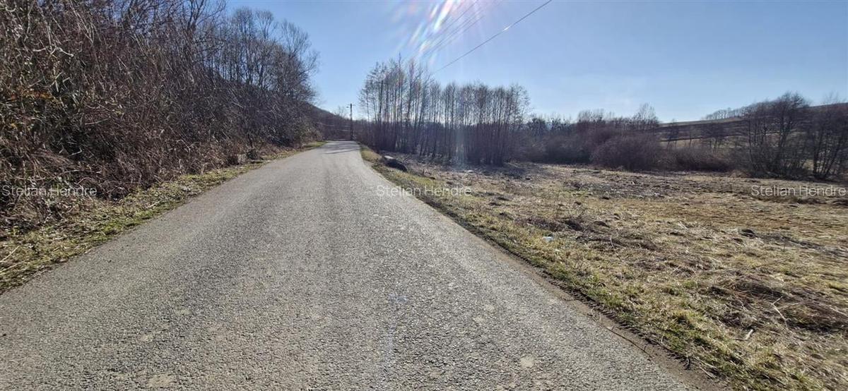Teren Construcții intravilan de 3893 mp, în Borod - 7