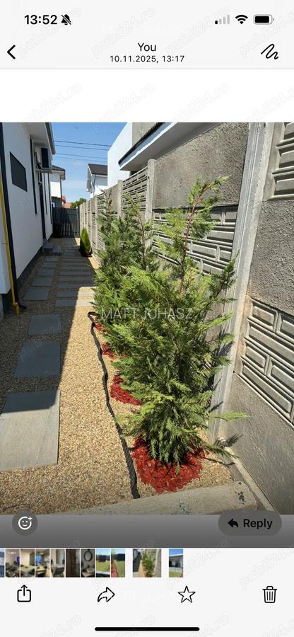 Duplex in Mosnita veche - 9