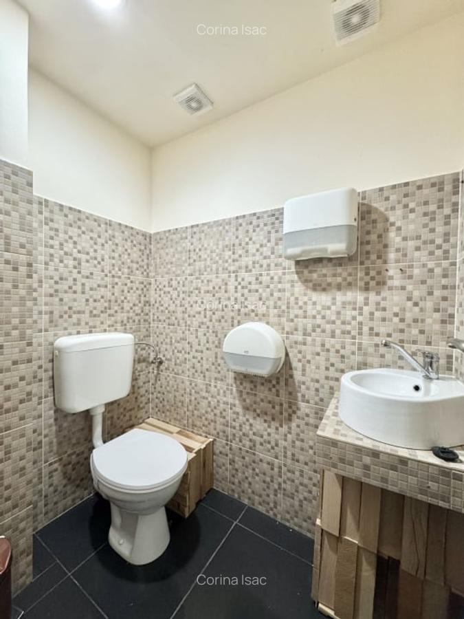 Proprietate situata in Dorobanti - Putul lui Zamfir - 9