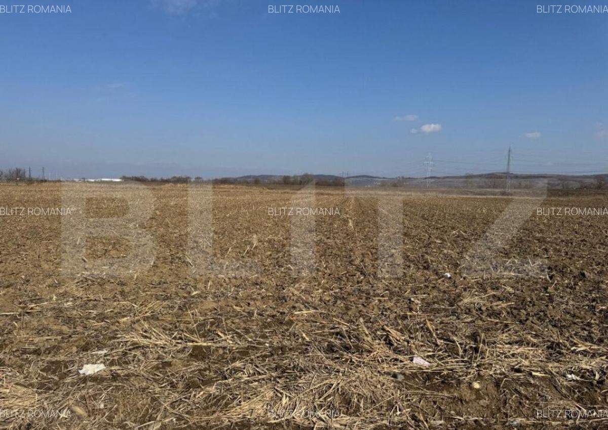 Teren intravilan, 2900 mp, zona Soseaua de centura - 3