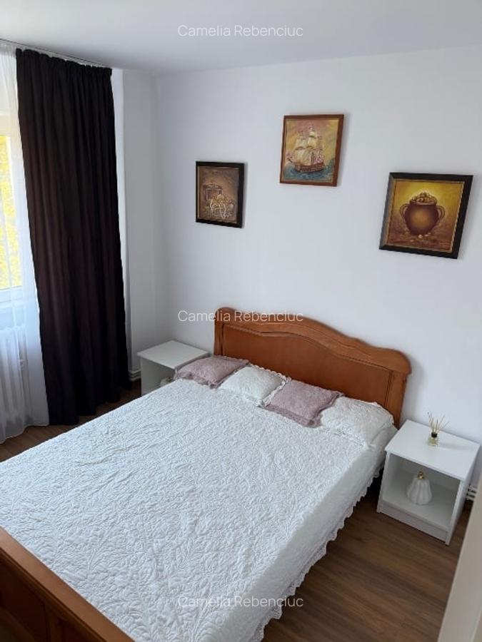 Persoană fizică ,vând apartament cu 2 camere în Păcurari,Alpha Bank - 4