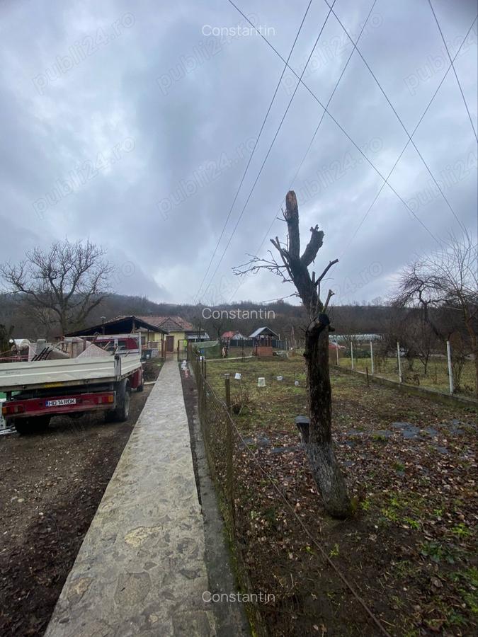 Vand casa in Pestisu Mic - 8