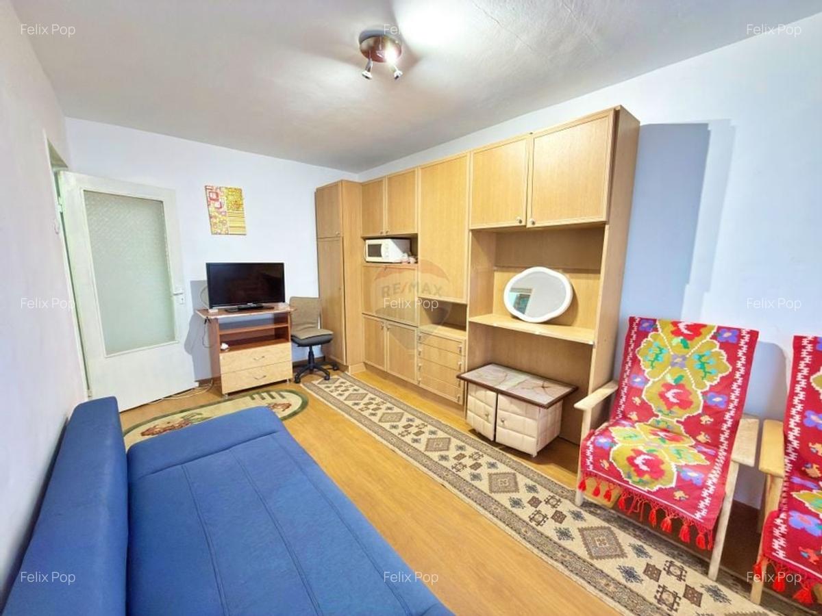 Garsoniera de vanzare (Micalaca, strada Simfoniei) - 3