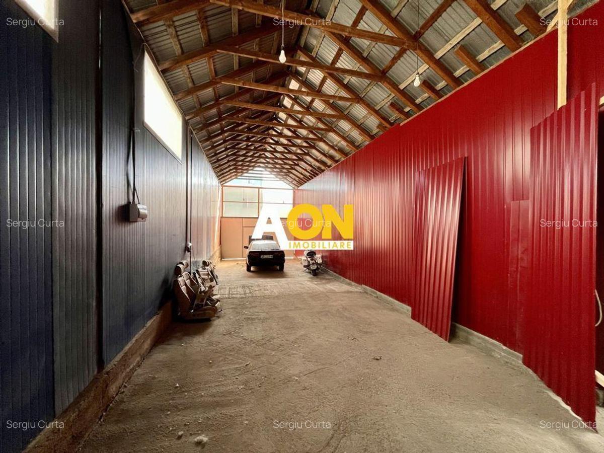 Hala de inchiriat, Cetate - 2