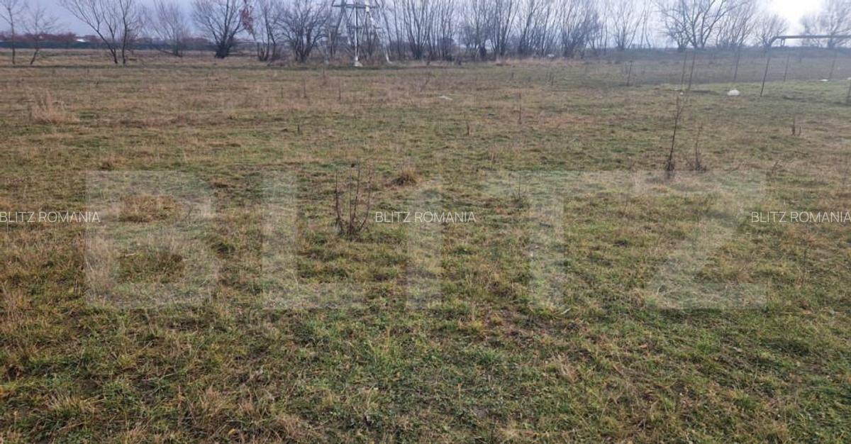 Teren intravilan Sanpetru - ideal ctie casa 500 mp - 3