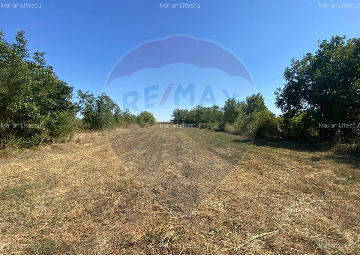 Teren de vanzare, 25km de Bucure?ti, Sine?ti, loc. Lilieci - 3