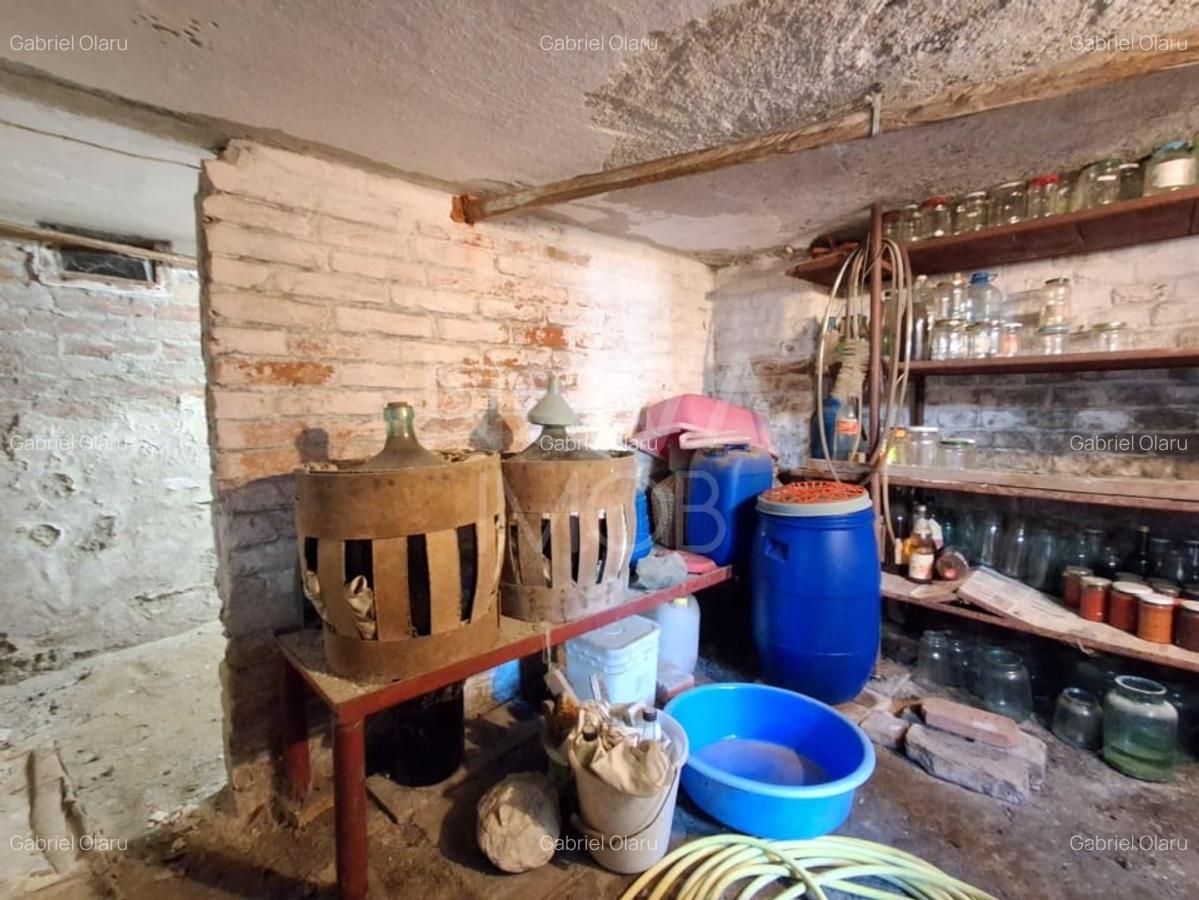 Casa individuala de vanzare - Lazaret - 10