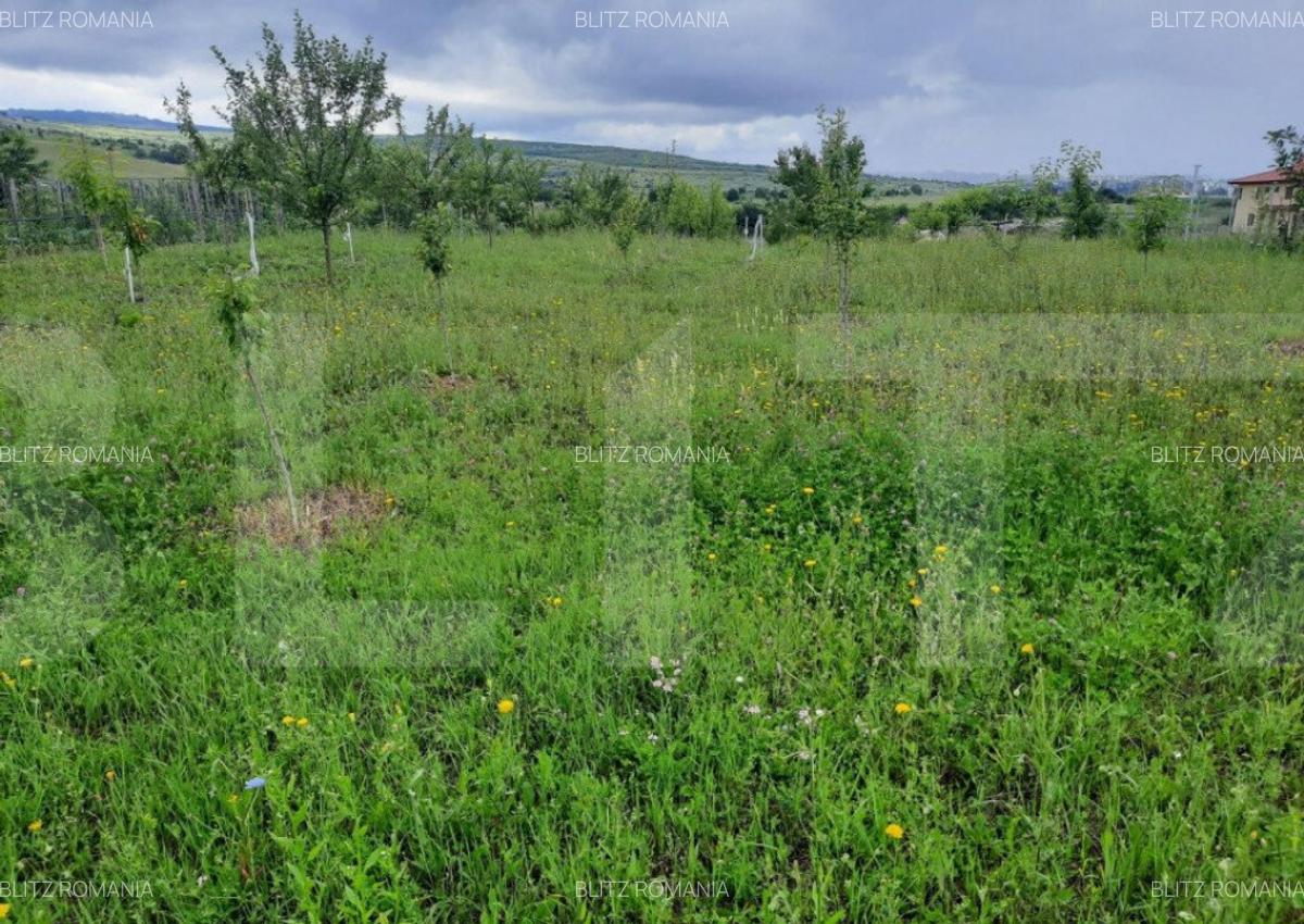 Exclusivitate ! Teren intravilan 2066mp , zona Sopor - 1