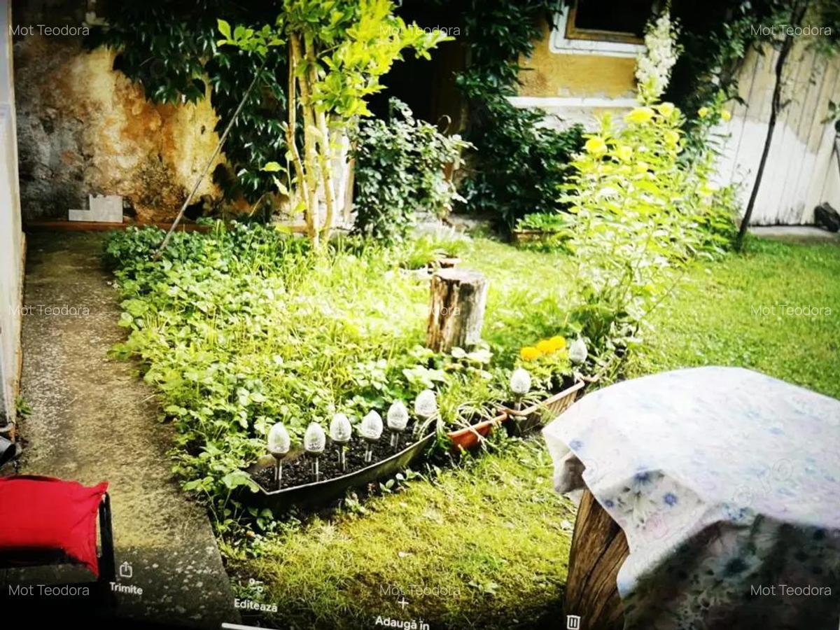 De vanzare casa in Buzad- 709 - 17