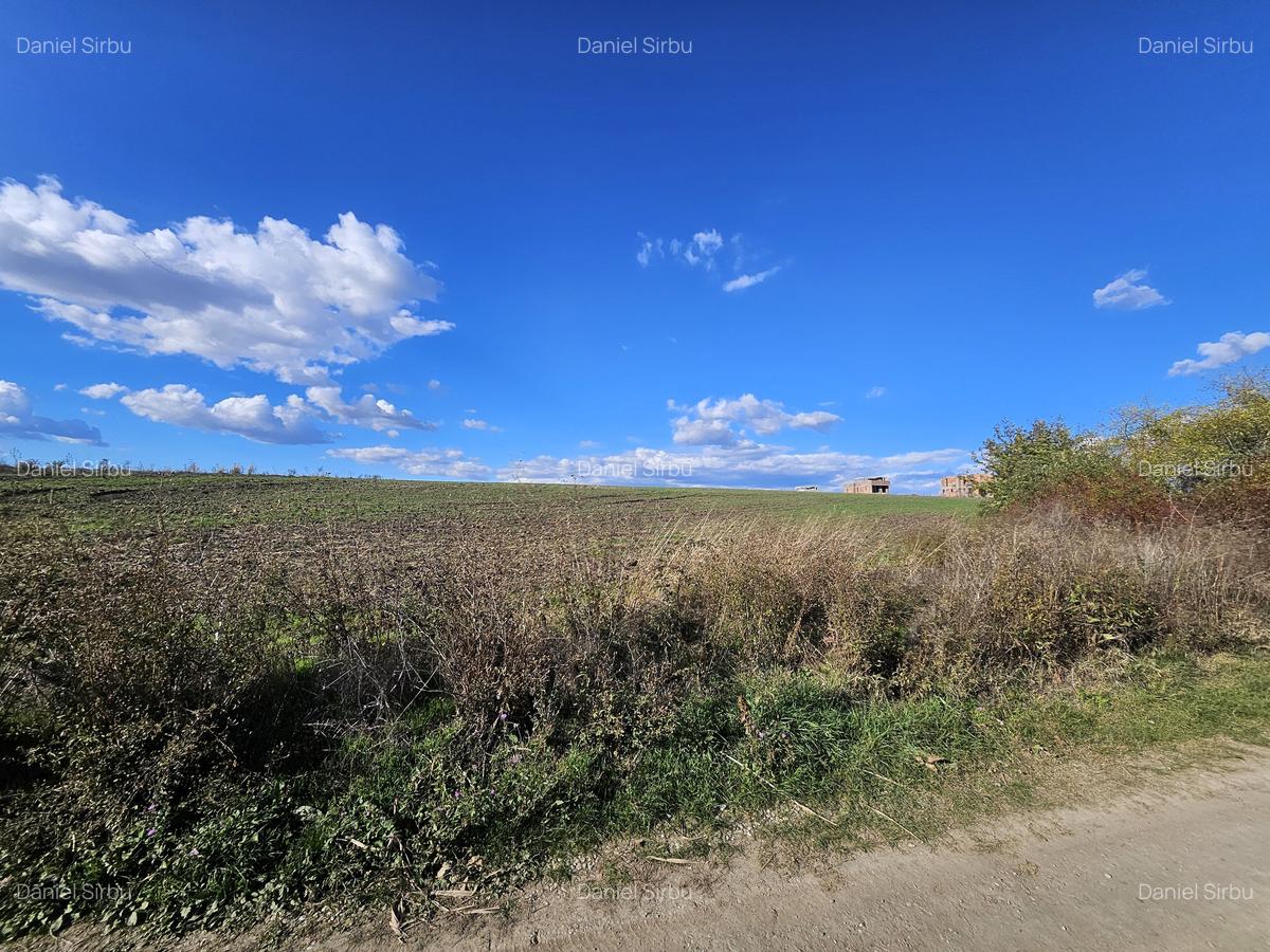 Teren intravilan Balotesti / 5.000 mp / D: 18 m / langa lac / comision 0% - 5 Teren intravilan Balotesti / 5.000 mp / D: 18 m / langa lac / comision 0% - 5