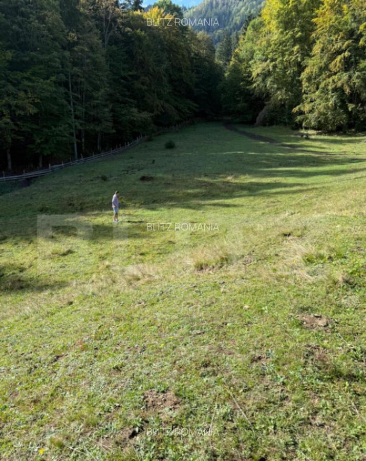 Teren intravilan 28 Ari zona Colibita - 5