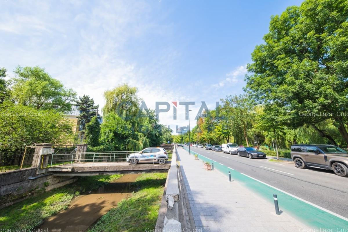 Teren generos si casa deosebita langa Parcul Central - oportunitate rara in Cluj - 14