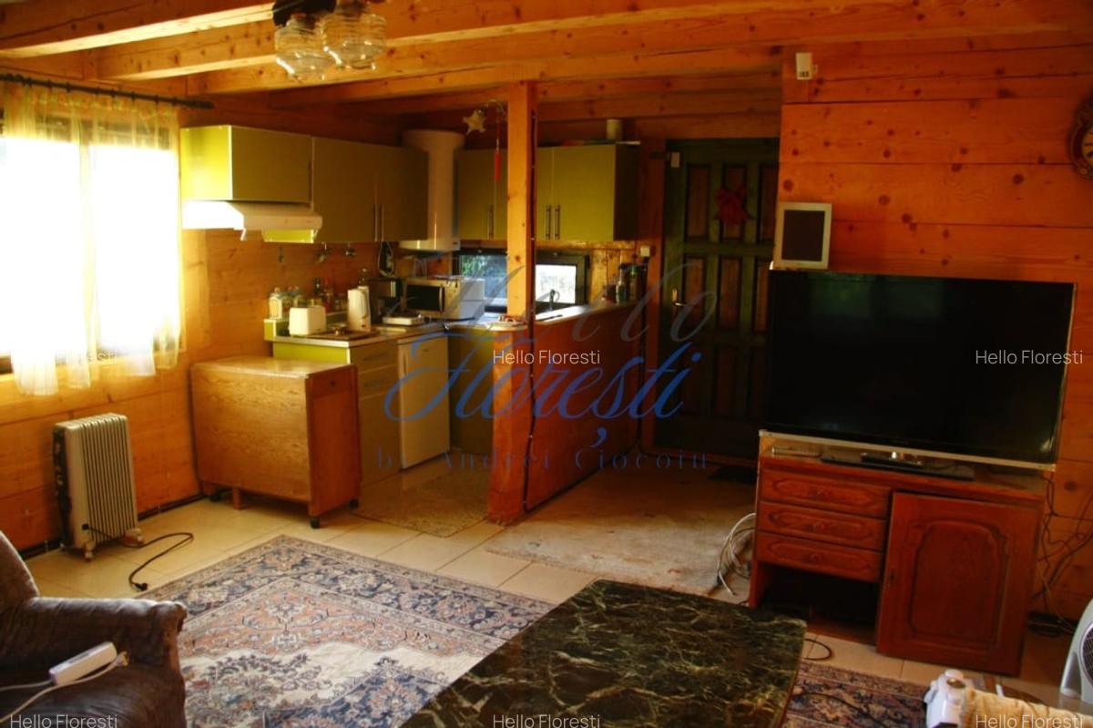 Cabana 2 camere, 55 mp si teren de 800 mp, zona VIVO - 3