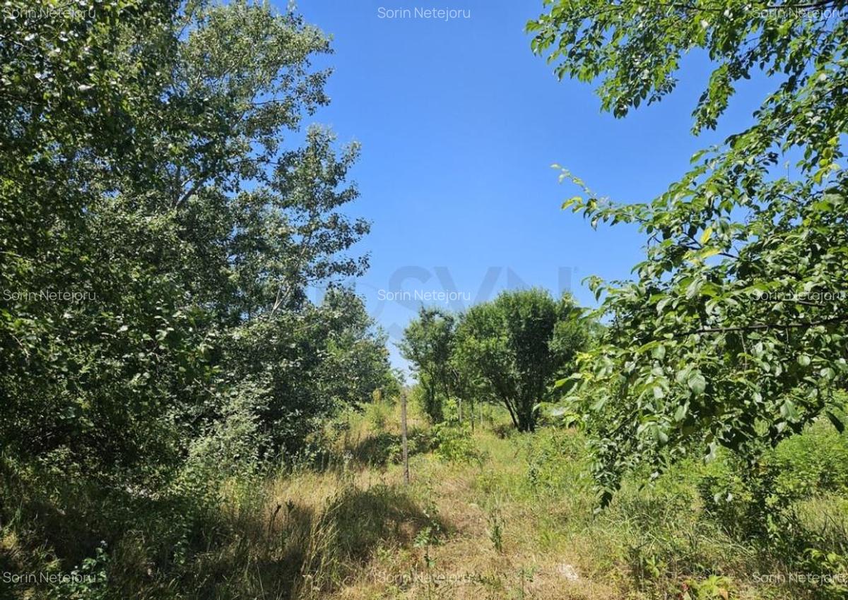 Teren de in Baneasa - 8
