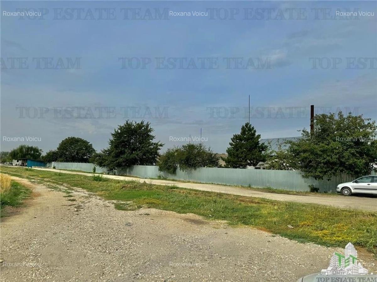Teren pentru hale cu deschidere 40ml de vanzare in Bragadiru - 8