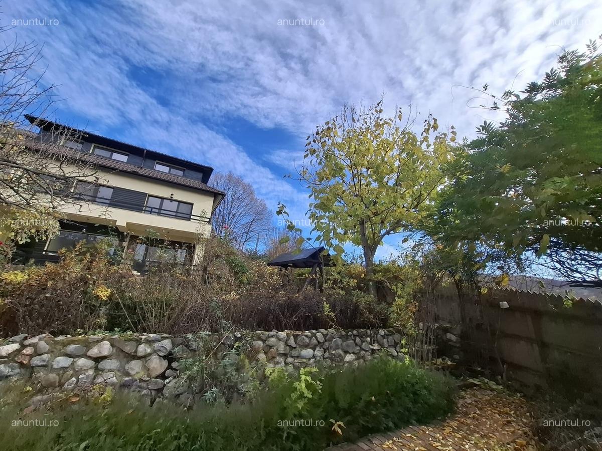 Daesti, jud. Valcea - 18