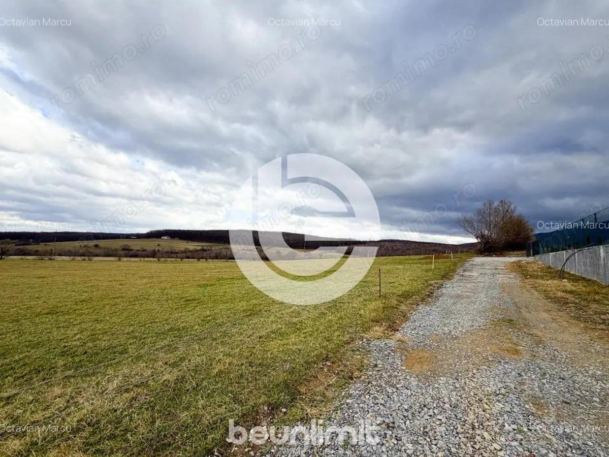 Teren intravilan in Tocile - 4354 m2 - 2 fronturi - oferta competitiva - 12