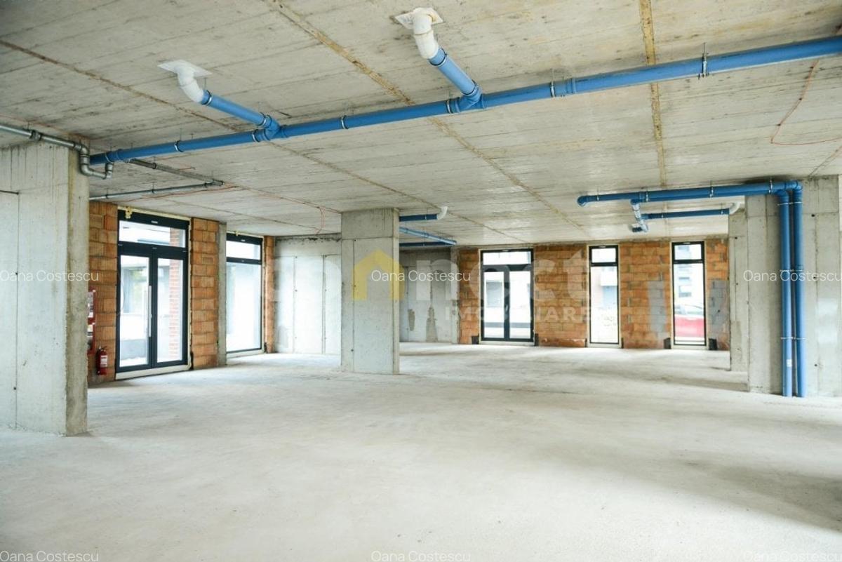Sptiu comercial de inchiriat - 4