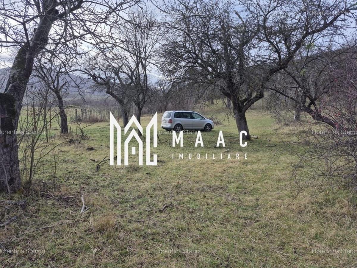 Teren de vanzare | Orlat | Extravilan - 4
